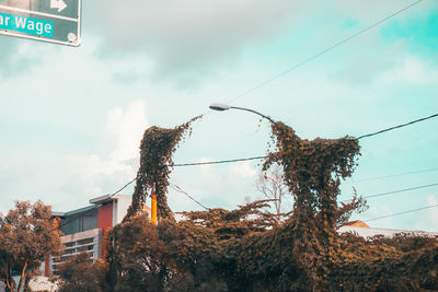 Low angle view of tree and building against sky