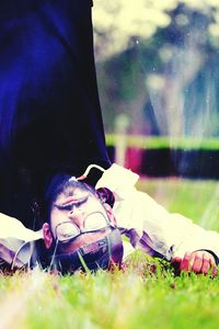 Close-up of grass in field