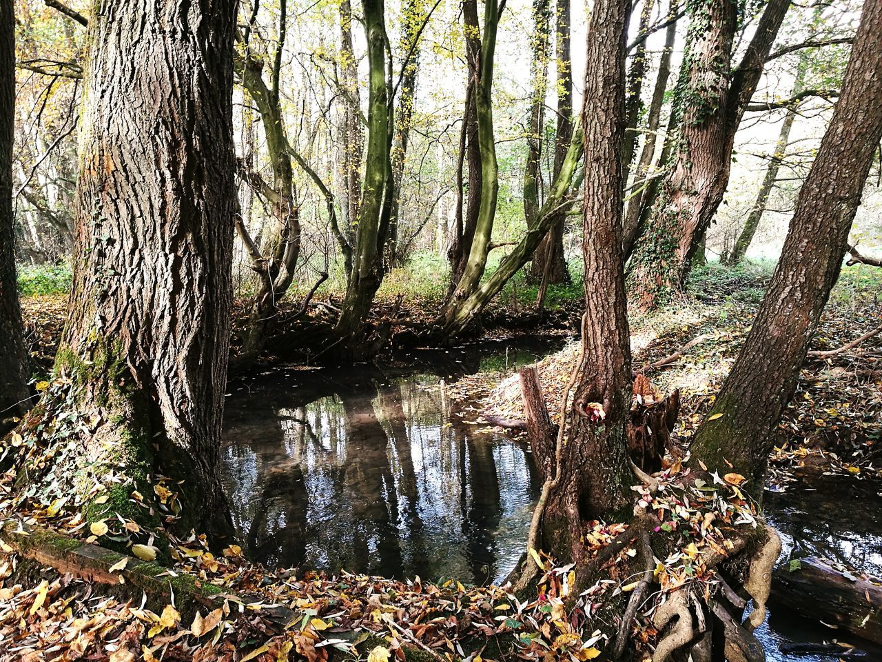 Grens Duitsland - België