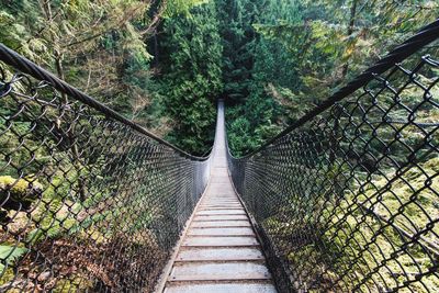 Footbridge in forest