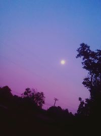 Low angle view of trees against sky