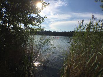 Scenic view of calm river against sky on sunny day