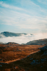 Scenic view of landscape against sky