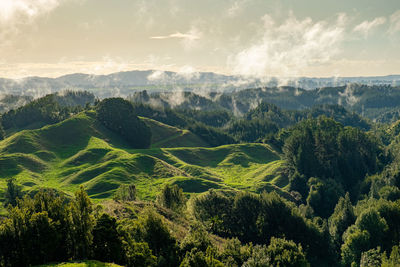 Bay of plenty farmland, new zealand