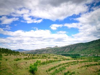 Scenic view of field against sky