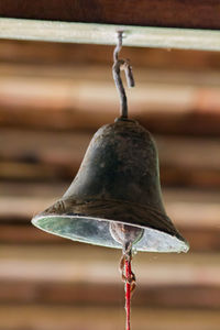 Close-up of bird perching on metal