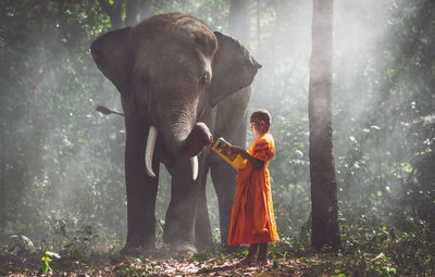 Full length of monk with elephant standing on land in forest