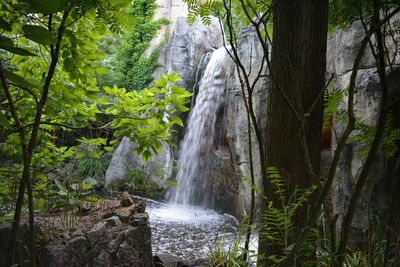 Waterfall in forest