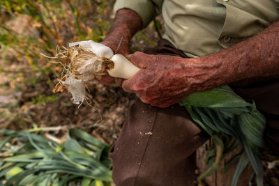 Midsection of man holding leaf