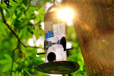 Close-up of light bulb