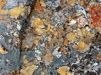 Full frame shot of rock