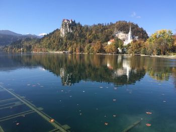 Scenic view of lake by trees against clear sky