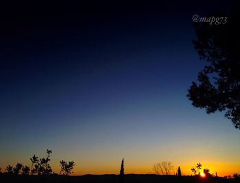 Low angle view of trees at sunset