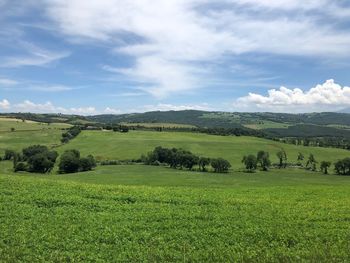 Scenic view of field against sky