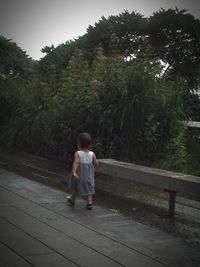 Rear view of woman standing by tree