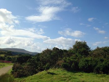 Scenic view of grassy field against cloudy sky