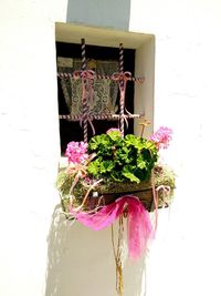 Close-up of potted plant against white wall