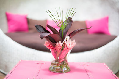 Close-up of pink flowers