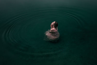 High angle view of turtle swimming in lake