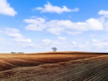 Scenic view of agricultural field against sky