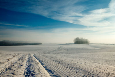 Scenic view of landscape against sky