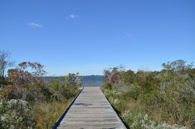 Pier amidst trees against clear blue sky