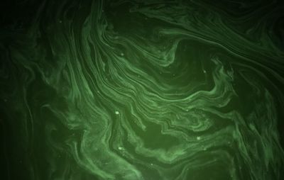 Full frame shot of water