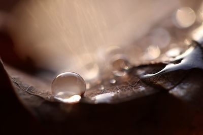 Close-up of water drops on glass