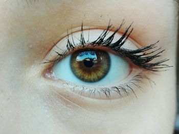 Close-up portrait of woman wearing mascara