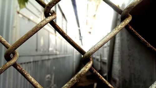 Close-up of chainlink fence