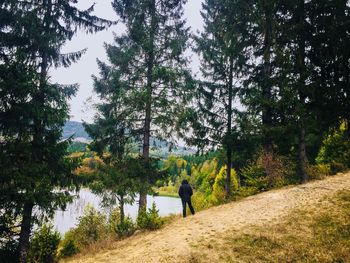 Rear view of woman walking on road in forest
