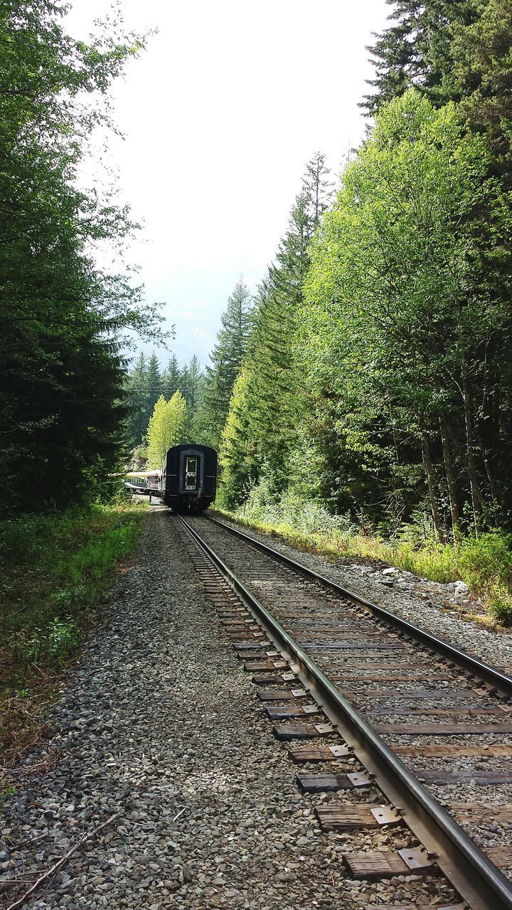 transportation, railroad track, tree, the way forward, rail transportation, clear sky, diminishing perspective, vanishing point, public transportation, mode of transport, growth, day, sky, road, travel, nature, outdoors, railway track, no people, land vehicle