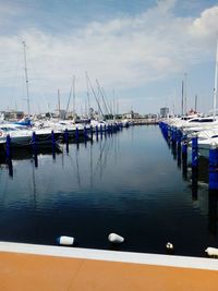 Sailboats moored in harbor