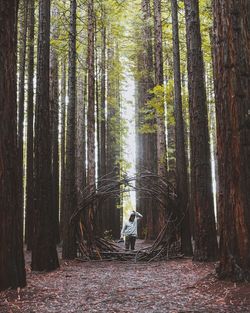 Rear view of man walking in forest