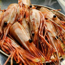 High angle view of seafood