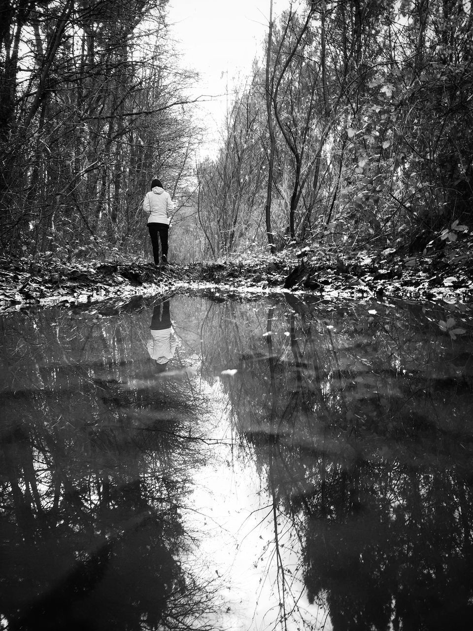 water, reflection, tree, waterfront, lake, tranquility, nature, tranquil scene, scenics, beauty in nature, day, outdoors, one person, river, idyllic, rippled, forest, puddle, branch, standing water