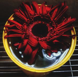 High angle view of red rose on table