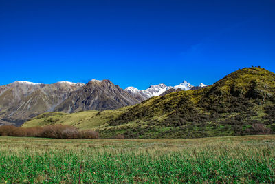 Scenic view of field against clear blue sky