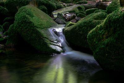 Stream flowing through rocks