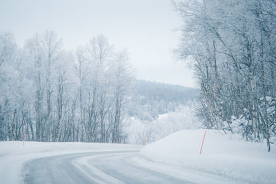 Snow covered road by trees during winter