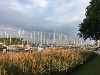 Sailboats moored on grass against sky