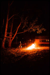 Man in illuminated forest at night