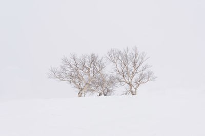 Bare tree on snow covered field against clear sky