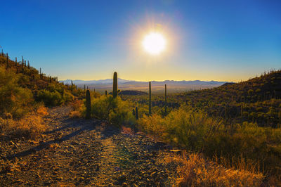 Scenic view of landscape against clear sky