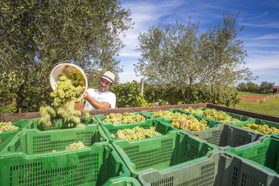 Midsection of man with fresh vegetables in farm