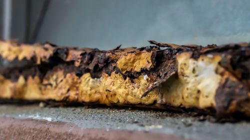 Close-up of bread on wood