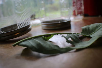 Close-up of drink on table