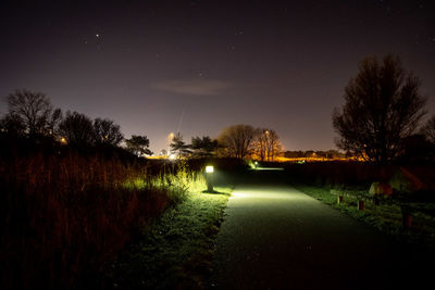 Illuminated trees on field against sky at night