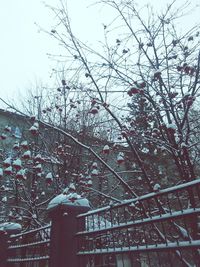Low angle view of amusement park against sky
