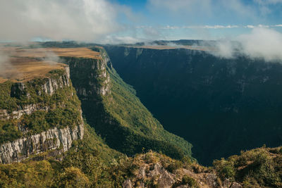 Fortaleza canyon with steep rocky cliffs covered by forest near cambará do sul. brazil.